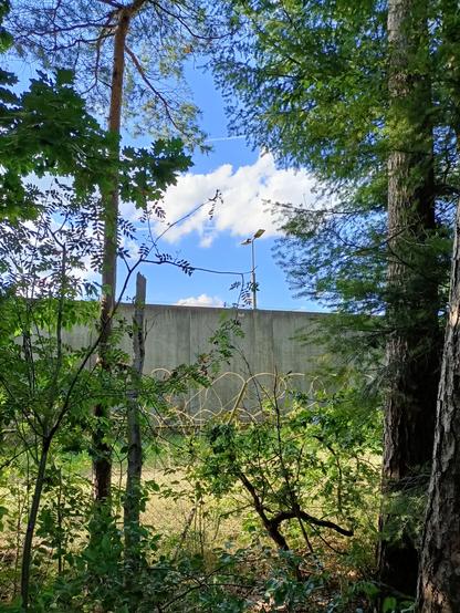 The family detention center at Kamp Zeist, that's actually a family prison.