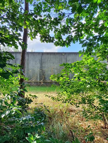 The family detention center at Kamp Zeist, that's actually a family prison.