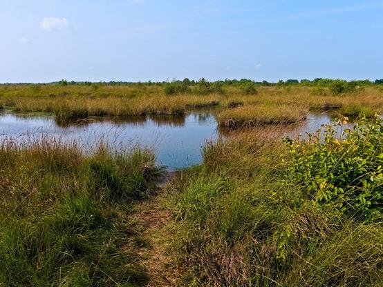 Flat landscape stretching to the horizon. It is a moorland landscape with an area of water in the foreground. It is surrounded by brownish and green grasses. Almost cloudless sky.