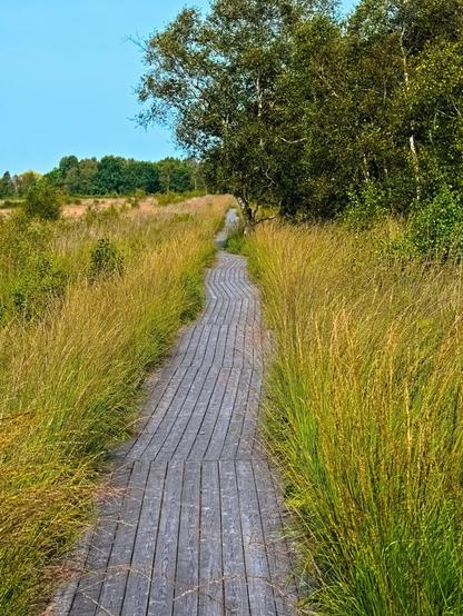 Directly in front of me is a log paved path that goes as far as I can see. Green-yellow grass and a few trees to the left and right. The sky is cloudless. I'm all alone there.