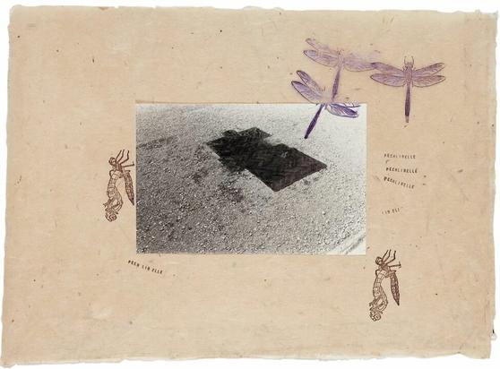 На лист приклеена чёрно-белая фотография нескольких кусочков паркета, лежащих на гравии. Помимо фотографии на листе присутствуют несколько чёрных и фиолетовых оттисков с германским словом «pechlibelle» (тонкохвост), с изображением стрекозы или тонкохвоста в полёте и с изображением стрекозы, вылезающей из кокона. Один из оттисков залезает на фотографию. Один раз слово «pech lib elle» написано с пробелами, что может задавать игру слов на других европейских языках. // Glued to the sheet is a black and white photograph of several pieces of parquet lying on gravel. In addition to the photograph, the sheet contains several black and purple prints with the German word “pechlibelle” (forktail), with an image of a dragonfly or slendertail in flight, and with an image of a dragonfly emerging from a cocoon. One of the prints climbs onto the photograph.
One time the word “pech lib elle” is written with spaces, which could create a play on words in other European languages. // Heidi Bucher, “The hatching of the parquet dragonfly”, 1981