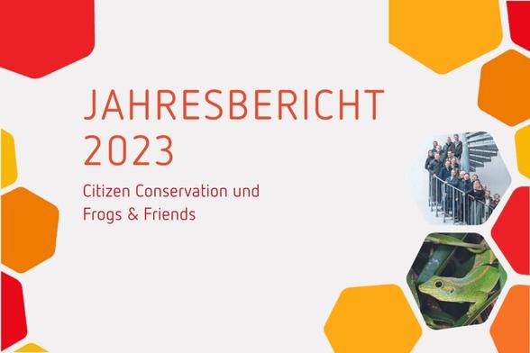 Das Bild zeigt das Cover des Jahresberichtes mit der Aufschrift "Jahresbericht 2023 - Citizen Conservation und Frogs & Friends".
Rechts sind in einigen Kacheln 2 Bildausschnitte zu sehen.
Das untere zeigt einen Mauritius-Taggecko der Art Phelsuma guimbeaui.
Das obere Bild zeigt eine Personengruppe bei der ersten CC-Jahresbeiratstagung 2023.