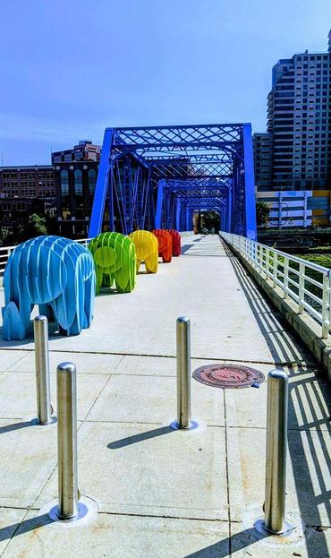 Art installation of rainbow elephants on a bridge running across the Grand River