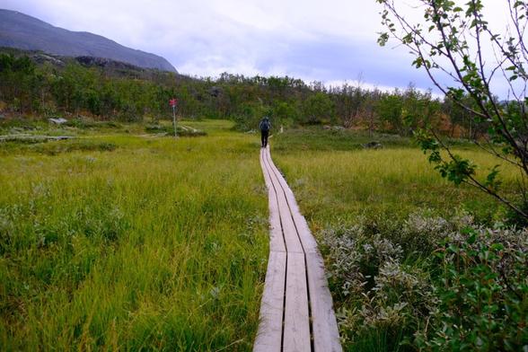 Bollenweg im Abisko Nationalpark.
