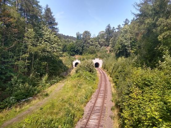 Dwa wloty tuneli otoczone lasem. Do tunelu z prawej strony zmierza jednotorowa linia kolejowa, skręcając po łuku w lewo. Do tego z lewej wydeptana ścieżka. Wloty mają kształt okręgów otoczonych jasnymi cegłami, z wierzchem zakończonym schodkowo od środka na boki. Pomiędzy drogami wysokie trawy, dalej krzewy. Po obu stronach, oraz nad tunelem zielone lasy, w słońcu. Niebo jasnoniebieskie.