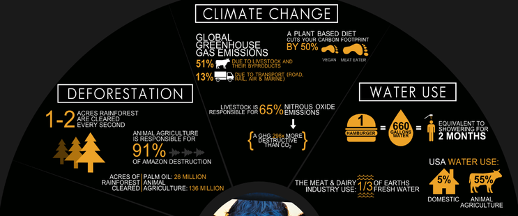klein stukje van https://www.cowspiracy.com/infographic