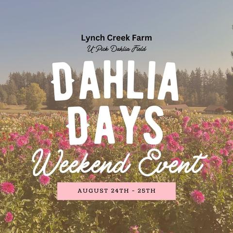 Lynch Cteek Farm Flyer with white and pink text over color photo of pink dahlias in an open field