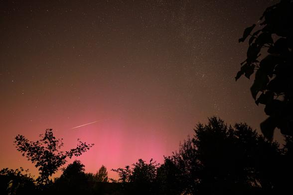 EN: Behind some shapes of trees you can see a field of pink lights in the sky. On the top of the northern light there's a perseid meteor and on the right side a part of the northern milky way.

DE: Hinter dunklen Baumumrissen ist der Himmel stellenweiße pink gefärbt. Am oberen Rand dieses Polarlichts ist eine Sternschnuppe zu sehen. Am rechten Rand verläuft die nördliche Milchstraße.