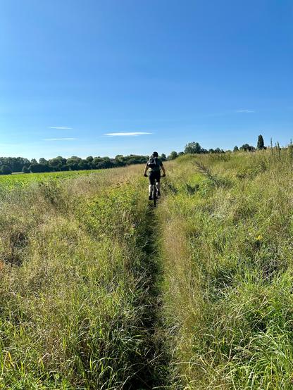 Ein Wiesenpfad mit hohem Gras links und rechts, blauer Himmel. Vor mir auf dem Trail ein Fahrer auf einem MTB, im Stehen fahrend