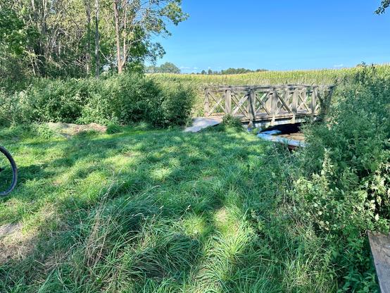 Ein Stück Wiese, rechts eine Brücke über einen Bach, links ein Fahrradreifen am Bildrand. Im Hintergrund einige Bäume und Feld, blauer Himmel