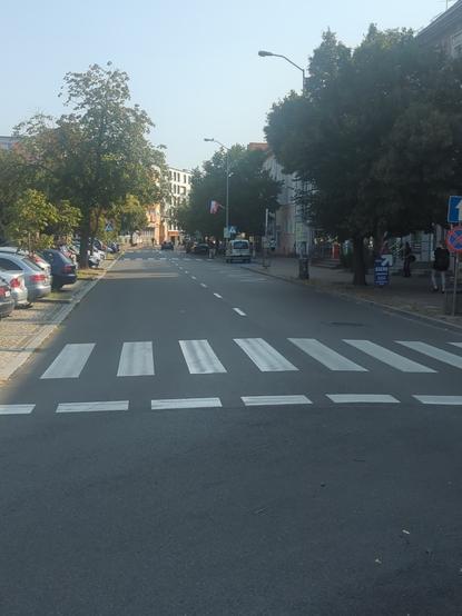 eine Strasse in der auf allen paar 50mtr ein Zebrastreifen aufgemalt und die Beschilderung am Straßenrand ist..