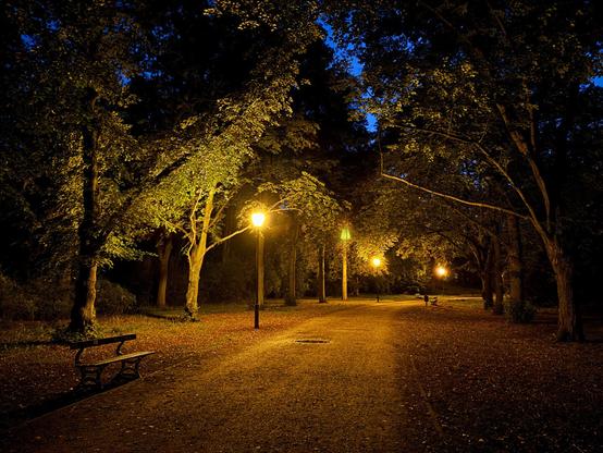 Photo taken in the park in Łódź, Poland.
