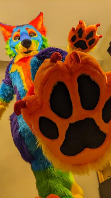 A pride (rainbow) colored coyote, showing you the bottom of it's paw