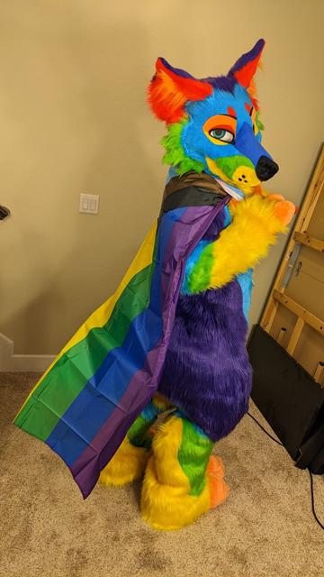A pride (rainbow) colored coyote, with a pride flag cape