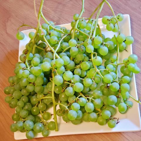 A plate filled with green grapes, freshly harvested