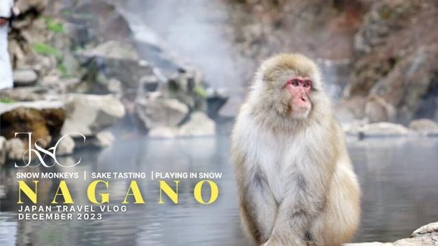 Exploring Nagano -- Snow Monkeys, Sake Tasting, and Snowballs