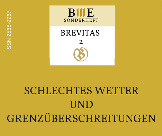 Cover einer Online-Zeitschrift mit dem Titel 'Brevitas 2: Schlechtes Wetter und Grenzüberschreitungen'. Der Hintergrund ist goldgelb.