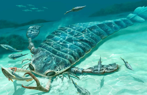 Giant ‘sea scorpions’ hunted Australian waters like sharks