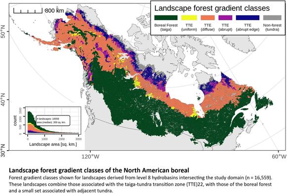 maps - Landscape forest gradient classes of the North American boreal