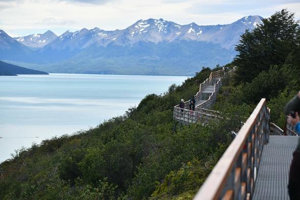 Le long du glacier Perito Moreno est situe un chemin sécurisé de barrières. Entre le glacier et les rembardes, la nature vient réchauffer de ses couleurs la vue blanche et bleu de l'imposant glacier.