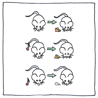 Drawing of an illustration (borrowed), showing three mice (before on the left, after on the right). Row 1: If you give a mouse a bit of cheese, it salivates. Row 2: If you play a note before giving it a piece of cheese, it salivates. Row 3: If you play a note, and give it no cheese, it salivates anyway.