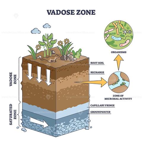 schematic - vadose zone in relation to the saturated zone