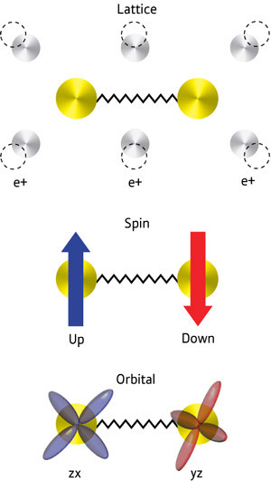 https://www.riken.jp/en/news_pubs/research_news/rr/6628/