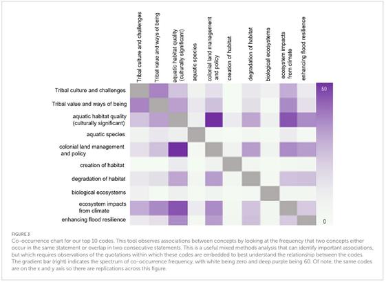 chart/matrix - results, survey, consultation, co-occurrence for their top 10 codes