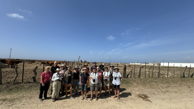 The team with Northern Bald Ibis behind chilling !