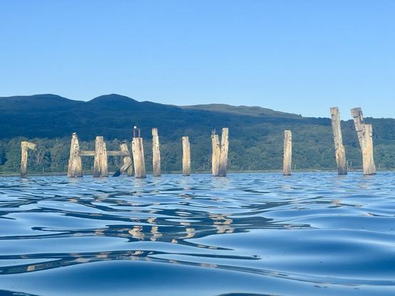 Water-level reflections on a rippled but glassy sea of the old wooden uprights of a ruined pier with dark hills in the background.