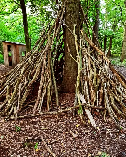 Ein aus Totholz gebauter Shelter, um einen Baumstamm herum.