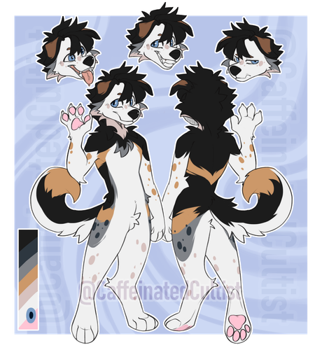 furry character reference sheet