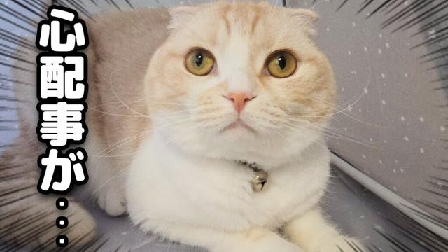 心配事がひとつ解決しました...