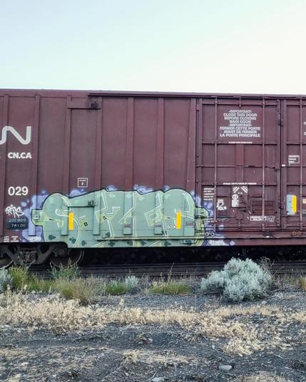 Train car with graffiti rolling through Kamloops BC Canada