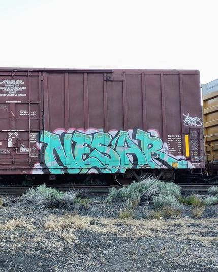 Train car with graffiti rolling through Kamloops BC Canada