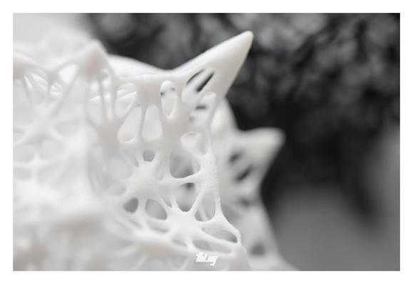Macro view of two 3D printed diatom-inspired filigree sphere-like objects, created via a recursive subdivision mesh (with displacements) of a seed cube. One of the objects is white, the other black.