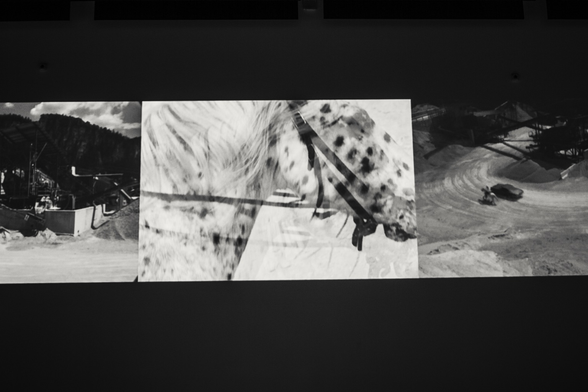 Elisabetta Benassi mostra art exhibition video arte video projection