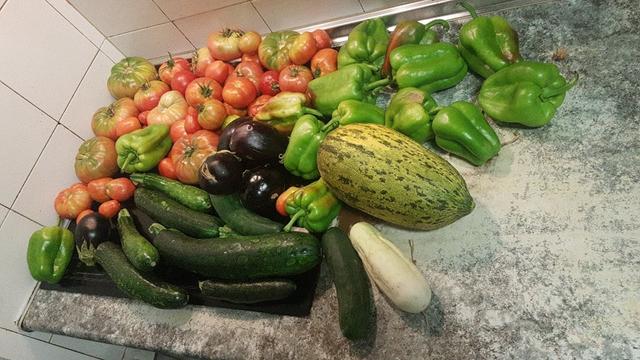 Contenido de la cesta de la semana sobre una encimera.
En primer plano, pepinos verdes y blancos, un melón y pimientos "gordos".
Detrás, calabacines, berenjenas, y tomates.