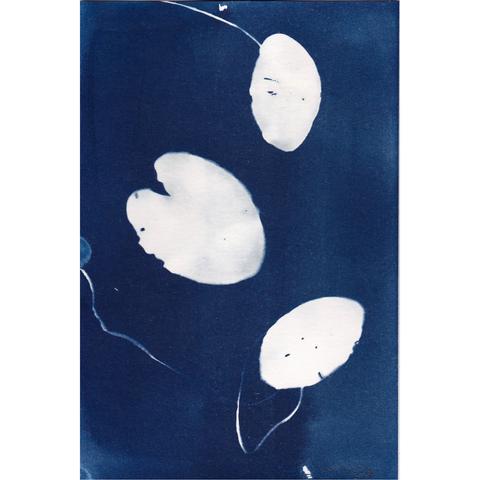 6” x 9” cyanotype print on watercolour paper of a  small lily pad and two pondweed leaves with long winding stems.