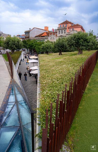 Color photo of a grassy urban park with small olive trees and a walkway that forms the roof over a commercial area below the park as revealed by a narrow triangular gap in the roof.
