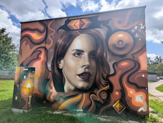 Artwork by unknown artist in Vilnius, Lithuania
