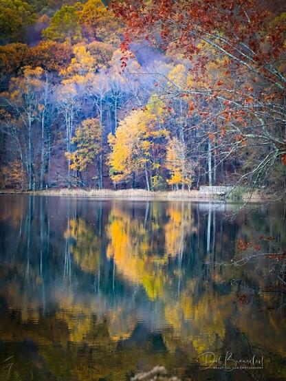 A vibrant autumn scene at Abbott Lake, Virginia, with a tapestry of yellow and orange foliage mirrored in the calm lake waters, framed by red-tinged branches in the foreground.  Image at:  https://beautifulsunphotography.com/featured/autumn-mirror-at-abbott-lake-deb-beausoleil.html  See more art & blog at: https://beautifulsunphotography.com/ https://debbeautifulsunphotography.com/ https://www.zazzle.com/store/beautifulsun_designs https://debbeausoleil.com https://www.artpal.com/BeautifulSun/