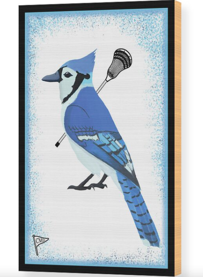 Our Blue Jay mascot is playing lacrosse.