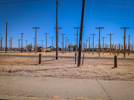 A level lot and many wooden power poles used a a training ground for the Northwest Lineman College. At center left is a group of lineman trainees wearing yellow shirts.
