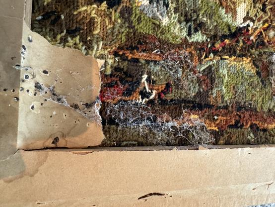 A close up of a corner of a tapestry on a stretcher frame where the protective paper cover is missing - cobwebs, plant debris, shed millipede skins, and what looks a lot like animal droppings can been seen along with bloom from something damp.