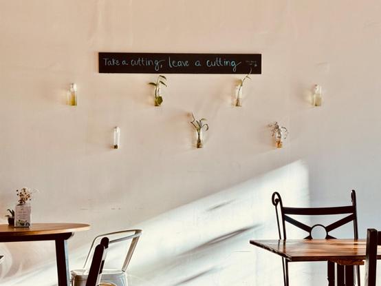 A wall in a coffeeshop with a nice shadow from the window being cast on the wall. On the wall is hung 7 small glass vases and a sign reads "Take a cutting, leave a cutting"