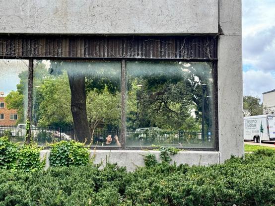 A somewhat shabby, gray building with big dirty windows is in the background. In the foreground are some plants and vines taking over the building. The building's windows are reflective and you can see a woman taking an iPhone selfie in the reflection