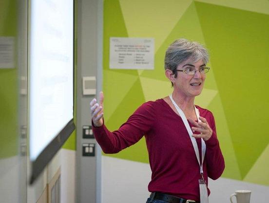 a presenter at ALDinHE conference
