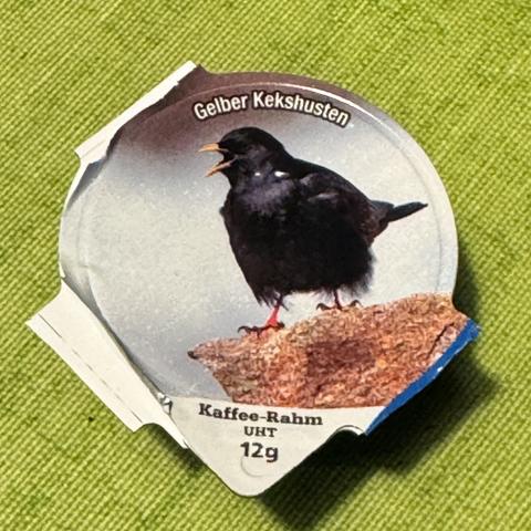 Ein Bild eines gelben Kekshustens auf einem Kaffeerahmdeckel.