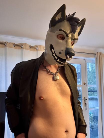 Me posing in my grey and blue husky mask with a leather jacket that’s unzipped to reveal my bare chest, chain collar and pierced nipples